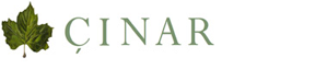 cinardanisman.com
