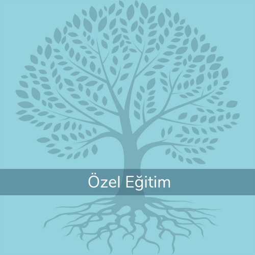 Hizmeti İnceleyin